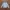 UNIONBAY Sportswear Casual Sweatshirt Pria Gray