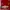 Adidas Vintage Streetwear Suit Pria Red