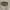 Coach Luxury Casual Crossbody Bag Wanita silver gray photo 2