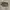 Coach Luxury Casual Crossbody Bag Wanita Silver Gray