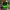 Vintage Casual Hat Pria green black photo 1
