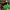 Vintage Casual Hat Pria green black photo 5