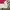 Streetwear Windbreaker Pria white red photo 4