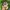 New Era Vintage Hat Pria tan photo 4