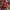 New Era Sportswear Casual Hat Pria red photo 1