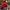 New Era Sportswear Casual Hat Pria Red