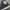 Converse Streetwear Casual Sneakers Pria black photo 7