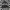 Streetwear Biker Windbreaker Pria black gray photo 1