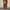 Vintage Tracksuit Pria gold photo 6