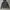 Levi's Streetwear Denim jacket Pria navy photo 1