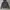 Levi's Streetwear Denim Jacket Pria Navy