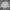 Fashion Nova Vintage Casual Bomber jacket Pria silver photo 1