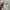 Fashion Nova Vintage Casual Bomber jacket Pria silver photo 7