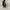 Vivienne Westwood Y2K Goth Crossbody Bag Wanita navy photo 7