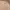 Streetwear Casual Formal shirt Pria tan photo 2