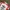 Adidas Vintage Y2K Windbreaker Pria white red photo 3