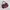 Coach Vintage Coquette Shoulder bag Wanita burgundy photo 1