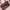 Coach Vintage Coquette Shoulder bag Wanita burgundy photo 2