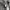 Polo Ralph Lauren Casual Cardigan Pria gray photo 4