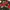 Y2K Casual Summer dress Wanita red black photo 2