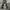8seconds Casual High waisted jeans Wanita black photo 1