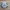 New Balance Streetwear Sportswear Sneakers Pria white navy photo 1
