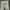 Giordano Casual Skinny jeans Wanita white cream photo 5