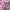 Ellesse Y2K Sportswear T-shirt Wanita pink photo 4