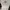 Hanes Vintage Y2K T-shirt Pria white photo 6