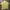 Daks Vintage Casual Shirt Wanita white yellow photo 1