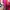 Casual Sandals & slide Wanita pink photo 1