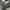 New Balance Sportswear Sneakers Pria navy black yellow photo 3