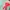 AMI Paris Sweater Wanita green red photo 2