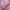 Casual Sweater Pria pink photo 3