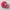 Zephyr D'Urban Vintage Sportswear Hat Pria white red photo 3