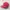 Zephyr D'Urban Vintage Sportswear Hat Pria white red photo 2