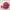 Zephyr D'Urban Vintage Sportswear Hat Pria White Red