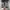 Converse Streetwear Indie Sneakers Pria multicolor photo 1