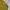 Skater Casual Sweatshirt Pria black yellow photo 2