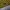 Skater Casual Sweatshirt Pria black yellow photo 3