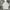 Dickies Streetwear Hoody Pria white gray photo 2