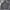 Champion Streetwear Sportswear Hoody Pria gray photo 1