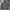 Champion Streetwear Sportswear Hoody Pria Gray
