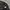 The North Face Gorpcore Sportswear Sweatshirt Pria gray photo 3