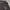 The North Face Gorpcore Sportswear Sweatshirt Pria gray photo 2