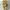ZARA Casual Casual pants Pria brown photo 4
