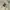 The North Face Gorpcore Sportswear Windbreaker Pria green khaki photo 5
