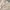 The North Face Gorpcore Sportswear Windbreaker Pria green khaki photo 6
