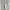 Giordano Casual Casual pants Pria cream photo 5
