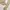 Cardigan Wanita tan cream photo 2